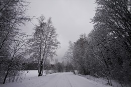 Во поле берёзы стояли... / утро