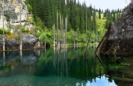 Где сосны рвутся в вышину.... / Горное озеро - мысли оттенок
и паутинка тумана вуали,
елей столетних зеленые стены,
небо заплаканное здесь над нами.
/Улекса фон Лу/