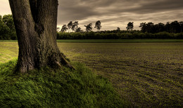 &nbsp; / Vor den Toren meiner Heimatstadt Olfen im Münsterland. Ich habe es nicht weit um in die Natur zu kommen. Hier stehe ich am Abend vor einem bereits bestellten Feld.