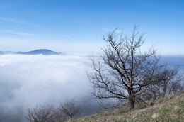 Вид с горы Собер-Баш / туман,горы