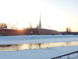 Мы думали это весна, а это оттепель / Санкт-Петербург. Петропавловская крепость. Утки на проталине.