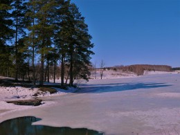 Весеняя зарисовка / весна идёт