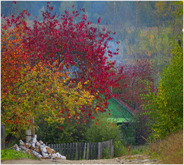 Осень в деревне / Осенний этюд в деревне