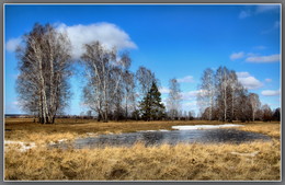 Дыхание весны / Красноярский край, Железногорск