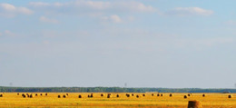 сельский пейзаж / осень, закончилась уборка зерновых
