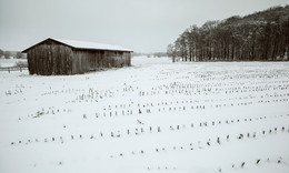  / Der Winter geht zu Ende. So schön kann er sein, hier an der RAUSCHENBURG in Olfen im Münsterland.