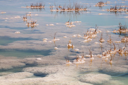 Соли Мёртвого моря / Соли Мёртвого моря выступают из воды создавая причудливые узоры