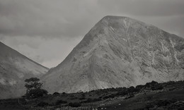 &nbsp; / Toll fand ich die BERGE auf der Insel IRLAND. Hier war ich unterwegs in der Grafschaft &quot;KERRY&quot;.