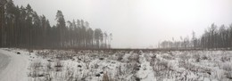 &nbsp; / Туманная панорама в лесу