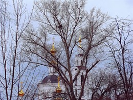 Весеннее ненастье / Собор Богоявления Господня, находящийся в парке центральной части Орла неподалёку от слияния двух рек: Оки и Орлика. Весенняя ненастная погода окропила собор и деревья с гнёздами грачей.