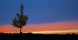 &nbsp; / Abendstimmung vor den Toren meiner Heimatstadt Olfen neben dem Naturbad, im Münsterland. Ich meine, solche Farben kann nur die Natur.