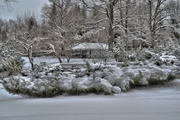 Зима в японском саду / Москва ,ботанический сад в этом саду есть отдельно созданный японский садик где и было сделано это фото .
