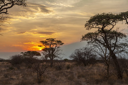 &quot;Африканский закат&quot; / Центральная Ботсвана. Макгадикгади.