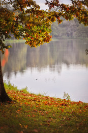 &nbsp; / Больше фото по ссылке: http://steklo-foto.ru/photogellary