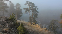 Апрельский туман / Утро на горе Аргус