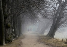 В легком тумане.... / Петергоф. Красный пруд. Апрель