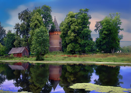 Замок в кустах / в деревне Лынтупы ! Витебской области