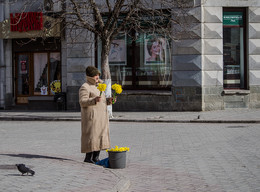 Купите букетик... / Второе название &quot;Жёлтые цветы&quot;