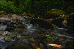 ...Devil's Glen Creeks... / ***