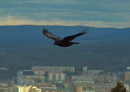 Полёт / ***
