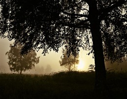 Навстречу свету / Туман и утро