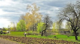 крестьянская работа / весна, подготовка к посадке картошки