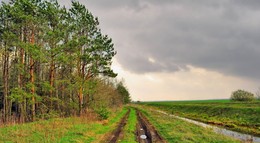 ожидается дождь / весна, облачно кругом, дождик будет