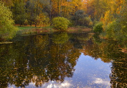 Сентябрь / Ботанический сад ,город Москва -вид Осенней природы .