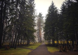 Дело было в парке / ***