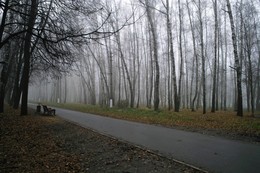 В пелене осеннего тумана / Утренний туман