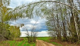 простой пейзаж / весна, немного облачно, выход из леса