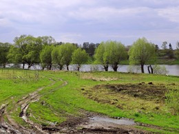 На берегу / Деревенский пруд весной оживает от проснувшейся природы