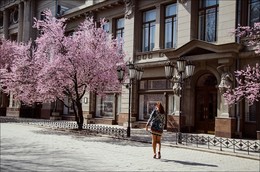 Весеннее пробуждение / Из альбома&quot;В моём городе сакура цветёт&quot;