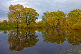 &nbsp; / Весна,река,зелень