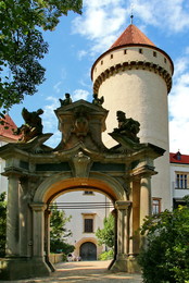 Замок Конопиште. / Чехия.