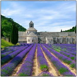 Прованс / Most beautiful lavender field in Provence. An ancient monastery Abbaye Notre-Dame de Senanque ( Abbey of Senanque) at early morning. Vaucluse, France