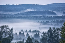 Утро туманное / Туманное утро в лесах Ревдинского хребта