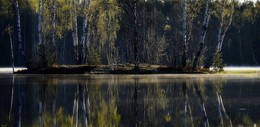 Весенний остров.... / Петербург. Осиновая Роща. Май