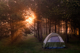 Утро туманное: сон туриста. / Туманное утро в лесу около Желтого Берега, фотография про туриста, который любит смотреть рассветы на фотографиях.