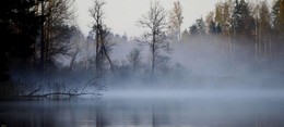 На рассвете.... / Карельский перешеек. Вуокса. Май