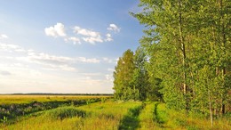 уходящий день / вечереет, за деревней, недалеко лес, облачно