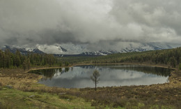 Зерцало / Озеро в районе Улаганского перевала в республике Алтай