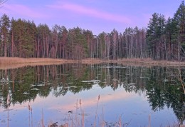 Вечер у озера / Вечерняя тишина и гладь озера, в которую окунулись прибрежные деревья, заворожила и в то же время насторожила, такое обычно бывает перед грозой.