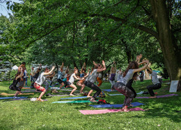 Lviv Yoga Day / Львов