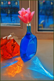 Зимний вечер / цветок тюльпана на окне зимним вечером