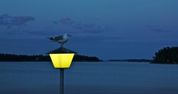Белые ночи / Балтика. Финский залив. Хельсинки, Вуосари