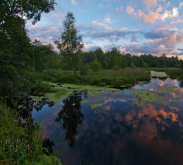 Встречая рассвет на опушке леса / Брестская область, д.Бор, август 2012.