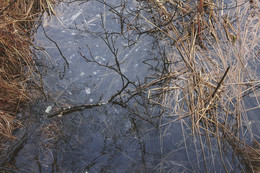 вода в воду / начало весны