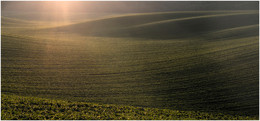 Empty Field / Поле, соя, рельеф