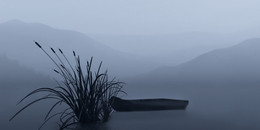 Утро туманное... / на озере